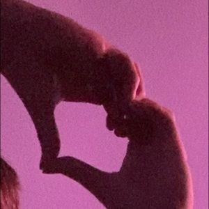 Meet your Posher, Brooke